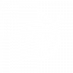 Logo-Tomwinter-beeldmerk-wit