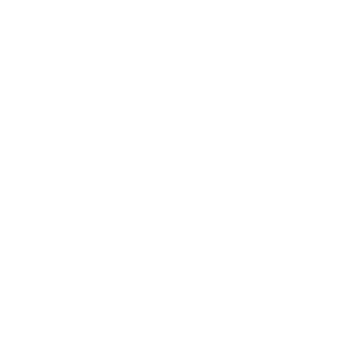 Logo-Tomwinter-beeldmerk-wit